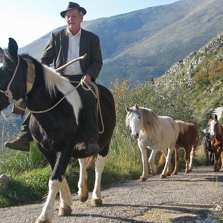 Il Nido Dei Gemelli Villa Formia Luaran gambar